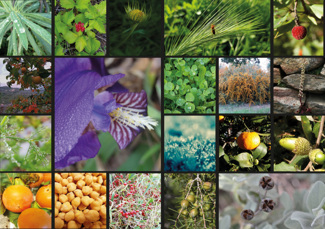 1219-toutes-les-photos-du-concours-2019_page_2