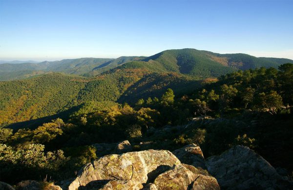 patrimoine-naturel-massif-maures-var