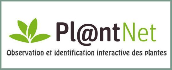 070817-site-plantnet