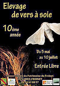 affiche-vers-a-soie