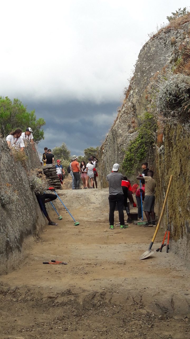 chantier-groupe-scout-et-mulhouse-2019-3