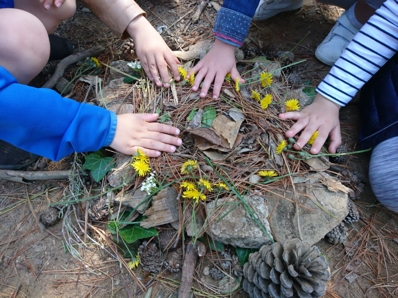 nature-biblio