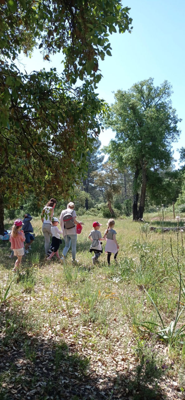 0721-bilan-annee-20-21-animation-scolaire-foret