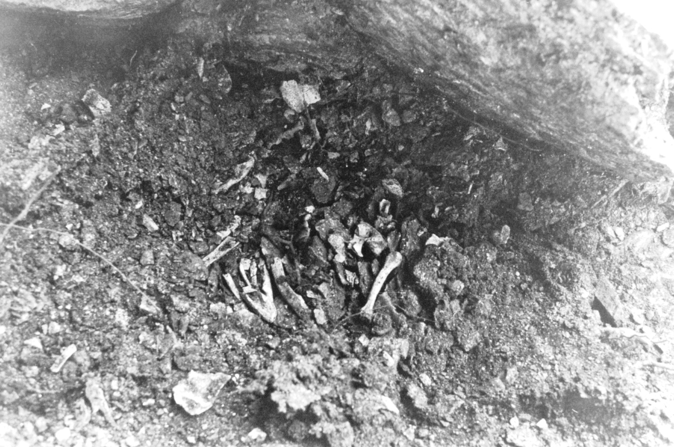 Un amas d’ossements dans une fosse