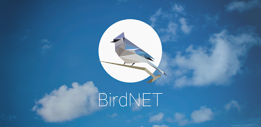 0821-application-du-mois-birdnet