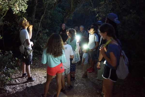 nuit-de-la-choutte-2annarighi-pnpc