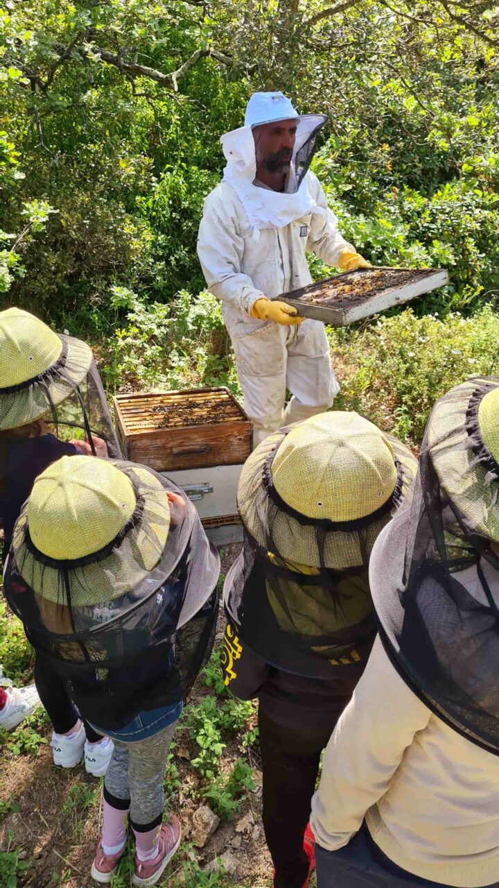 Une visite aux ruches pour l’école du Petit bois de Carcès.