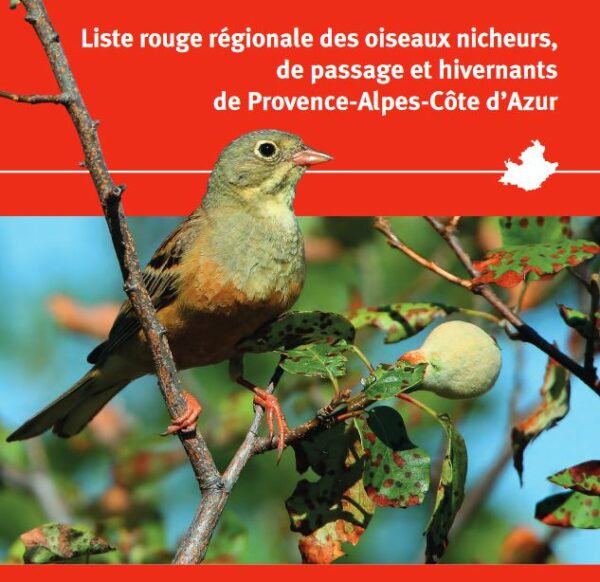 0522-site-du-mois-liste-rouge-oiseau