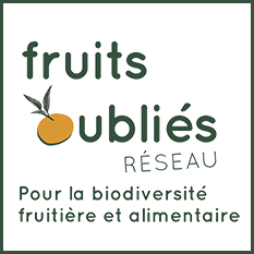 1122-site-du-mois-fruits-oublies-carre