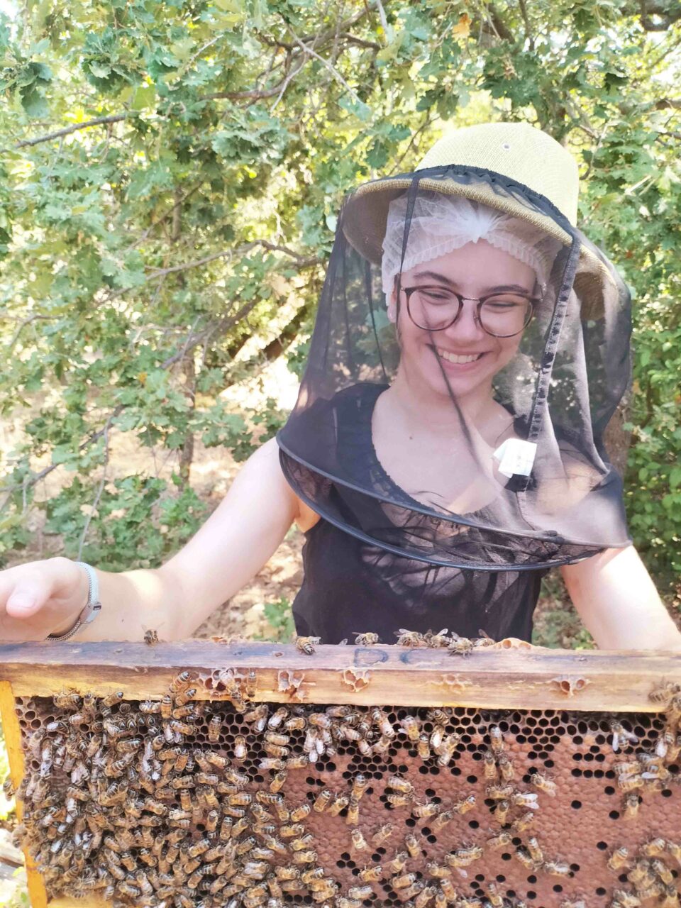 ruche-abeilles-juillet2022-web-3conservatoire