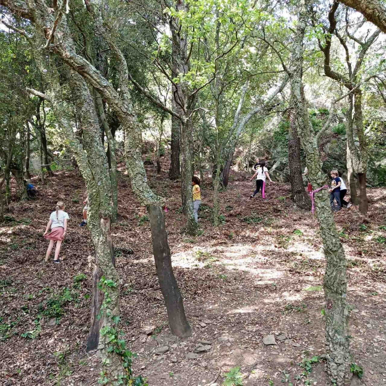 jeu-de-piste-nature-la-garde-freinet-web-1conservatoire
