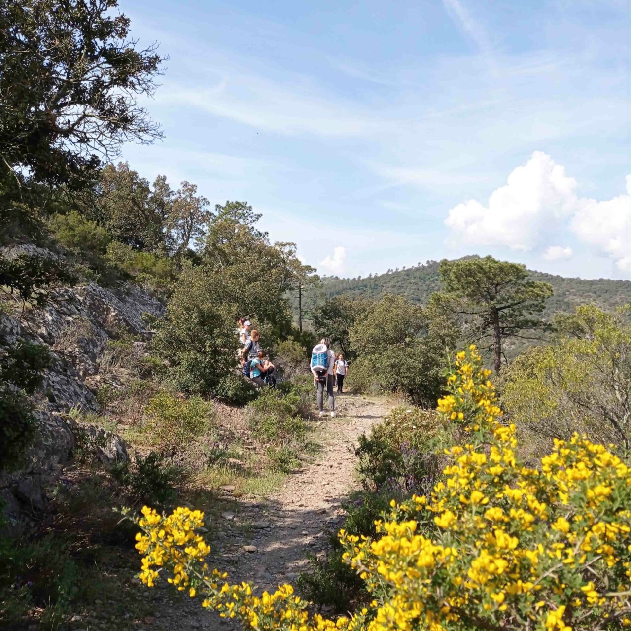jeu-de-piste-nature-la-garde-freinet-webconservatoire