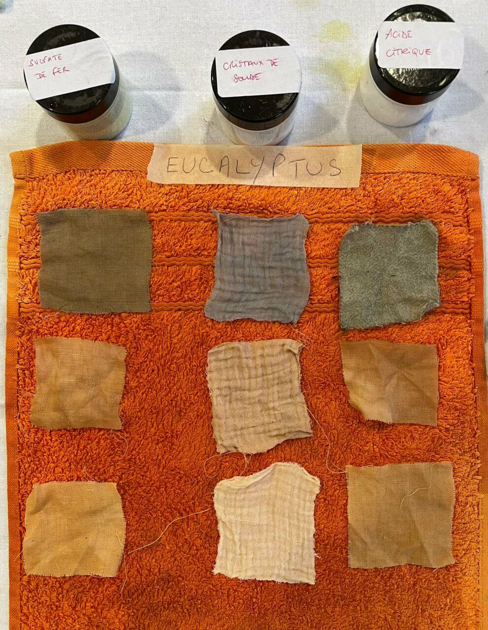 atelier-teinture-vegetale-mars-2023-ecorce-eucalyptus-webp_vanpoppel-3