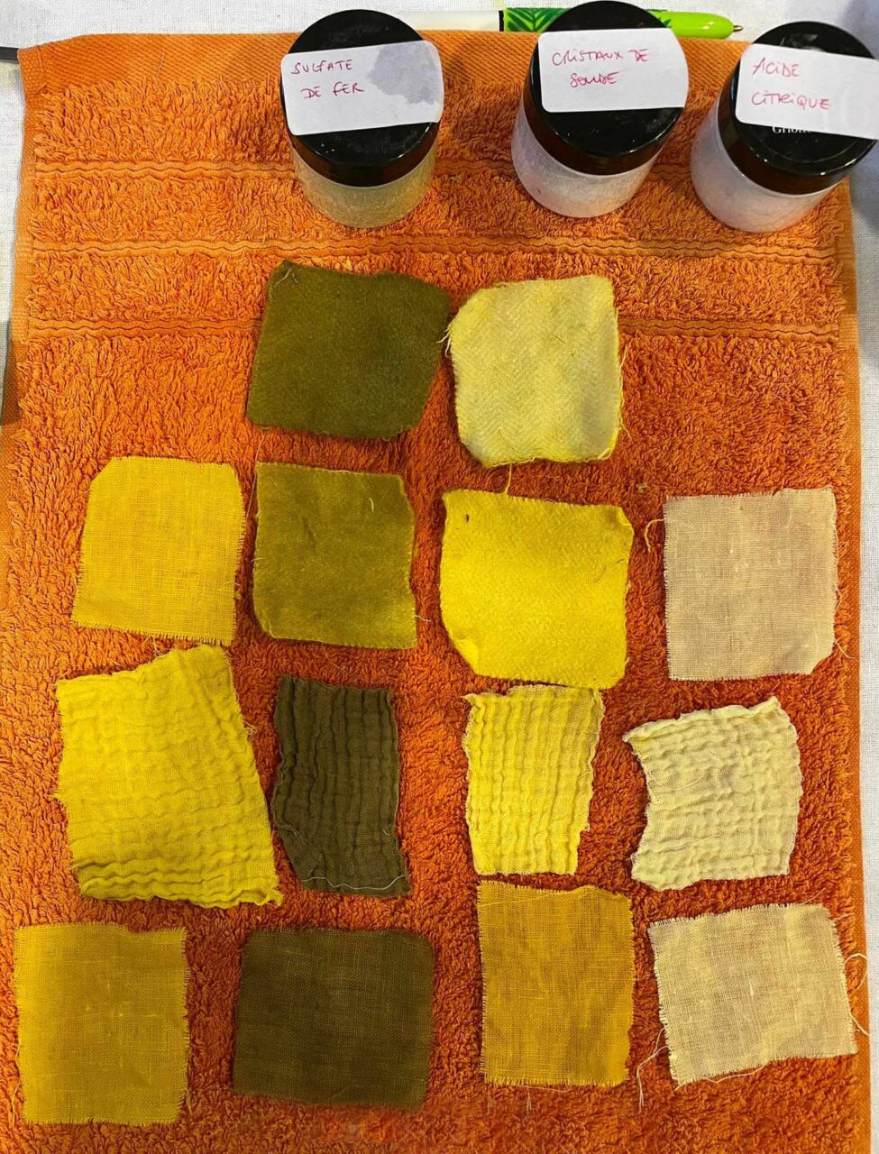 atelier-teinture-vegetale-mars-2023-sophora-du-japon-webp_vanpoppel