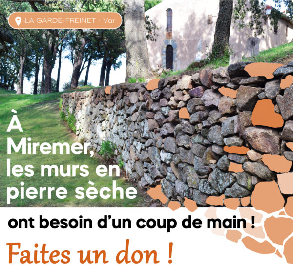 affiche-collecte-don-miremer-2025-petite