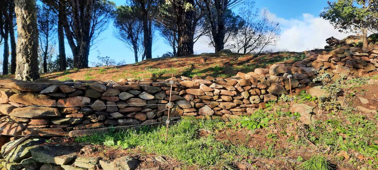 2025-s2-mur-b-avantl_boudinot