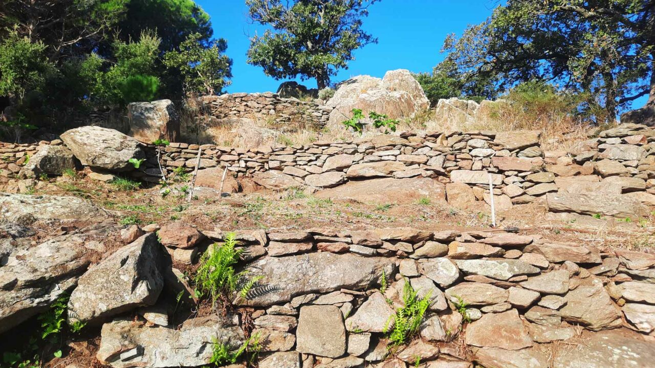 2025-s2-murs-c-apres-2l_boudinot