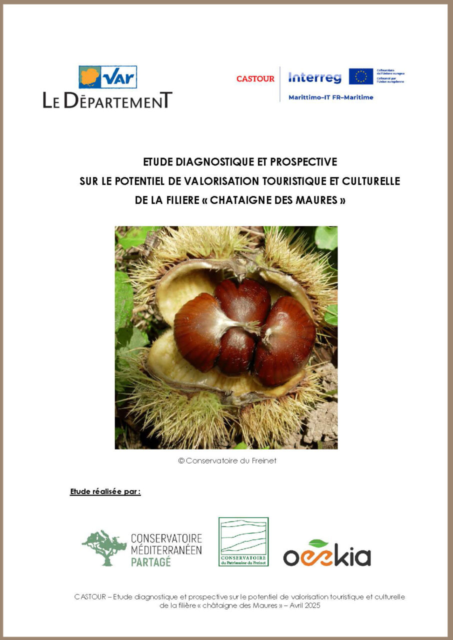 couverture-etude-castour-chataigne