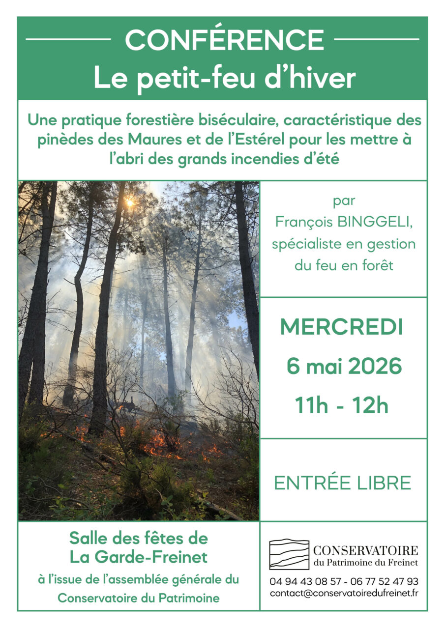 conference-ag-2025-feu-de-foret-2