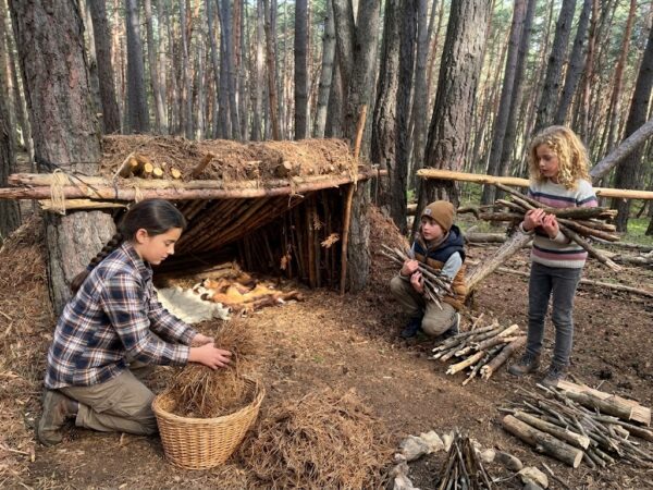 cabane-bois